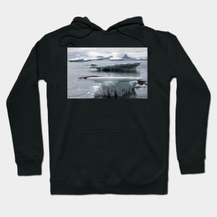 Adelie penguin at Brown Bluff Hoodie